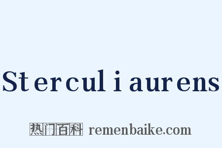 Sterculiaurens是什么意思的图片